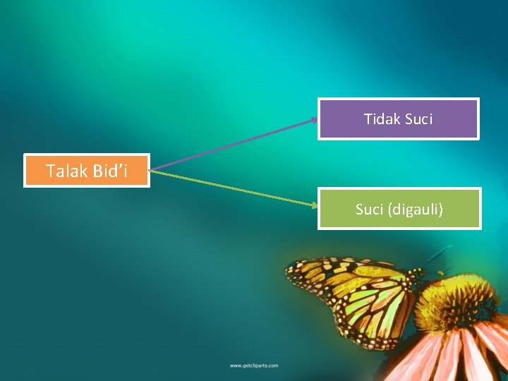 Tidak Suci Talak Bid’i Suci (digauli) 