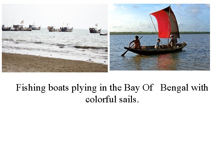 Fishing boats plying in the Bay Of Bengal with colorful sails. 