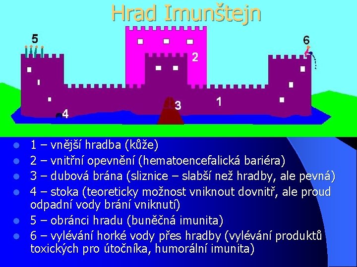 Hrad Imunštejn l l l 1 – vnější hradba (kůže) 2 – vnitřní opevnění