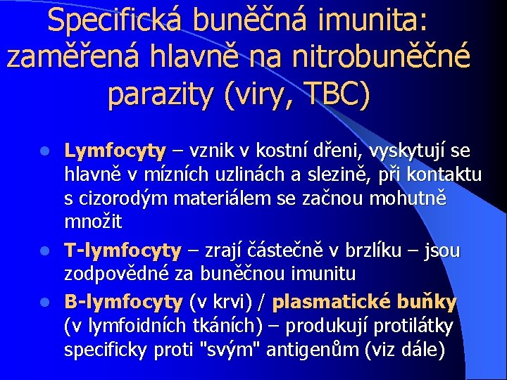 Specifická buněčná imunita: zaměřená hlavně na nitrobuněčné parazity (viry, TBC) Lymfocyty – vznik v