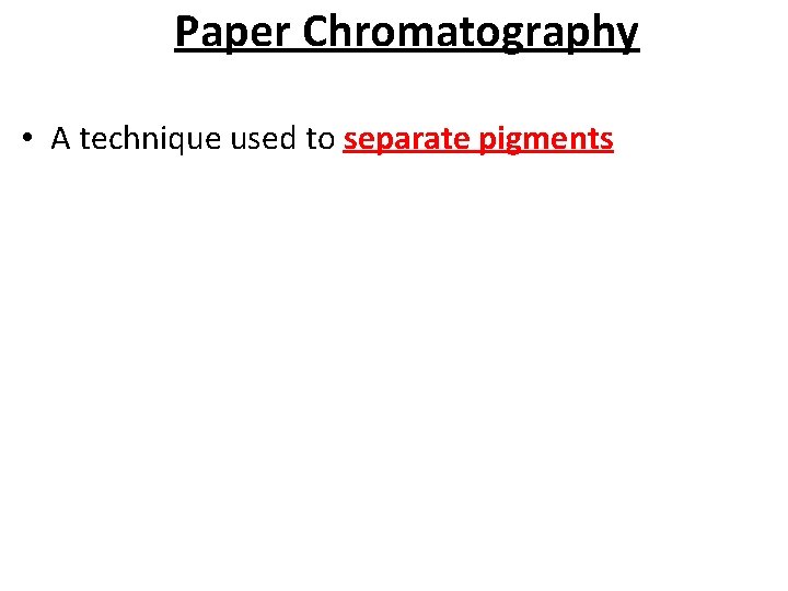 Paper Chromatography • A technique used to separate pigments 