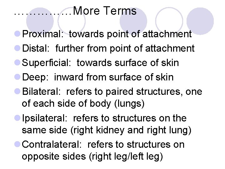 ……………More Terms l Proximal: towards point of attachment l Distal: further from point of