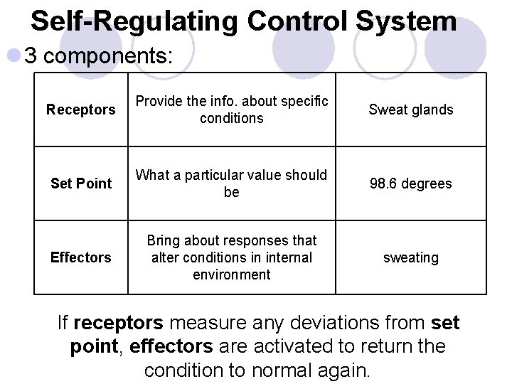 Self-Regulating Control System l 3 components: Receptors Provide the info. about specific conditions Sweat