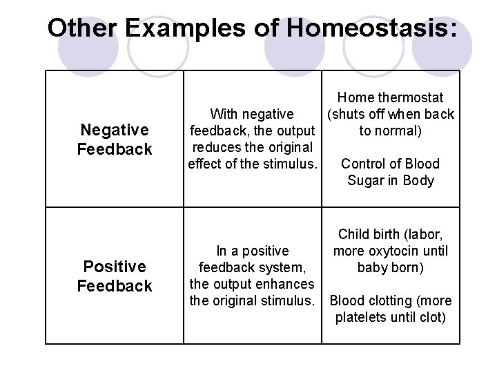 Other Examples of Homeostasis: Negative Feedback Positive Feedback Home thermostat With negative (shuts off