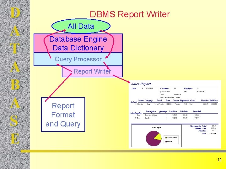 D A T A B A S E DBMS Report Writer All Database Engine
