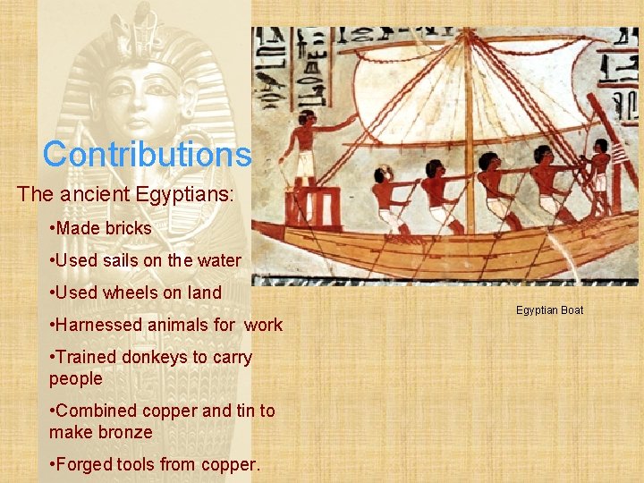 Contributions The ancient Egyptians: • Made bricks • Used sails on the water •
