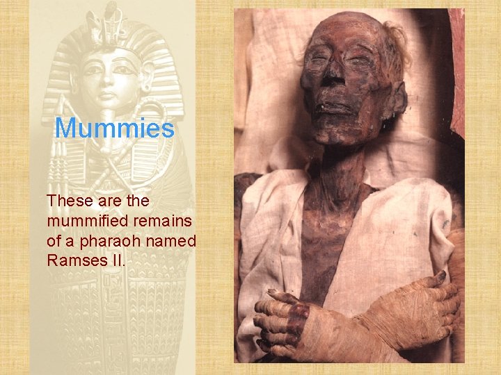 Mummies These are the mummified remains of a pharaoh named Ramses II. 