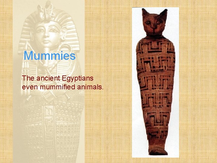 Mummies The ancient Egyptians even mummified animals. 