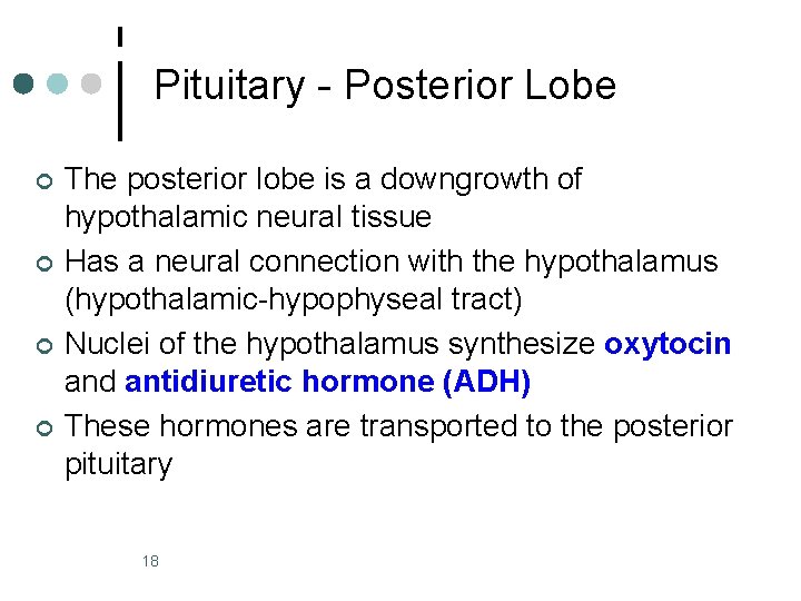 Pituitary - Posterior Lobe ¢ ¢ The posterior lobe is a downgrowth of hypothalamic