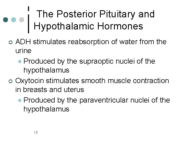 The Posterior Pituitary and Hypothalamic Hormones ¢ ¢ ADH stimulates reabsorption of water from