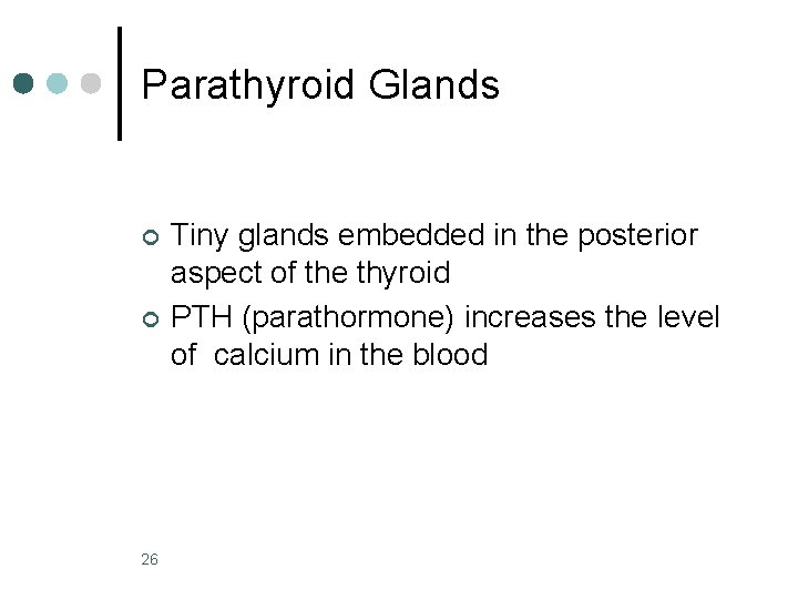 Parathyroid Glands ¢ ¢ 26 Tiny glands embedded in the posterior aspect of the