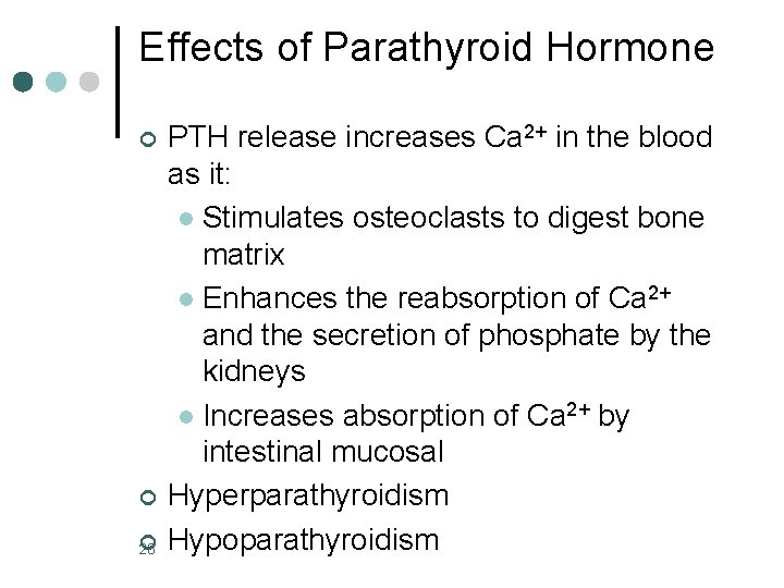 Effects of Parathyroid Hormone ¢ ¢ ¢ 28 PTH release increases Ca 2+ in