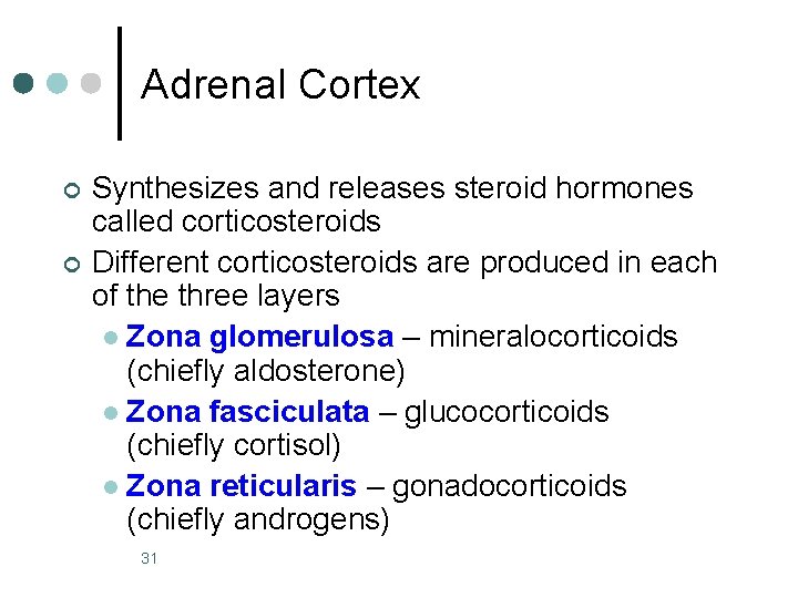 Adrenal Cortex ¢ ¢ Synthesizes and releases steroid hormones called corticosteroids Different corticosteroids are