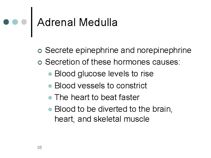 Adrenal Medulla ¢ ¢ 35 Secrete epinephrine and norepinephrine Secretion of these hormones causes: