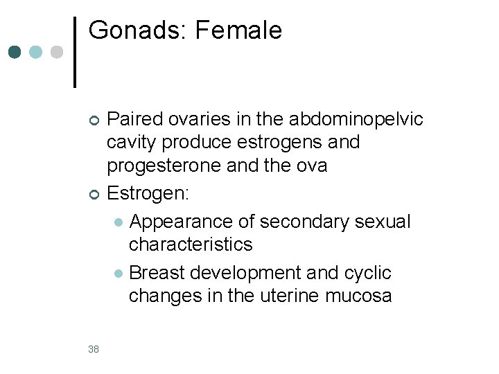 Gonads: Female ¢ ¢ 38 Paired ovaries in the abdominopelvic cavity produce estrogens and