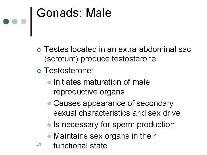 Gonads: Male ¢ ¢ 40 Testes located in an extra-abdominal sac (scrotum) produce testosterone