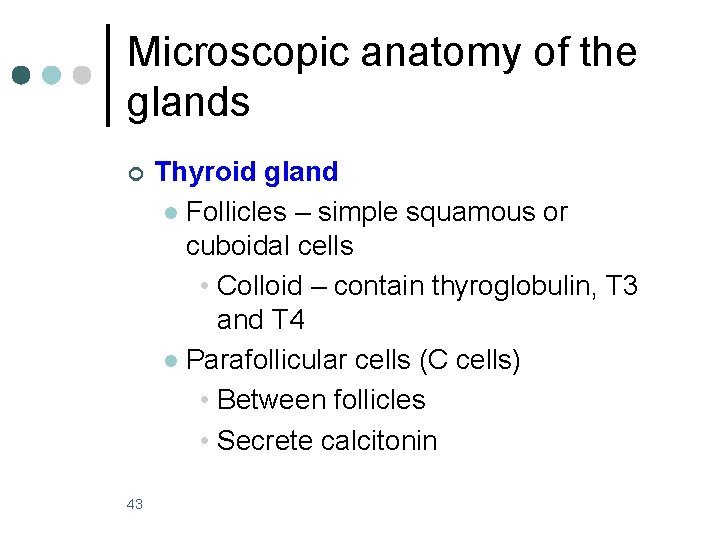 Microscopic anatomy of the glands ¢ 43 Thyroid gland l Follicles – simple squamous