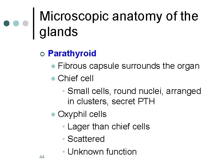 Microscopic anatomy of the glands ¢ 44 Parathyroid l Fibrous capsule surrounds the organ