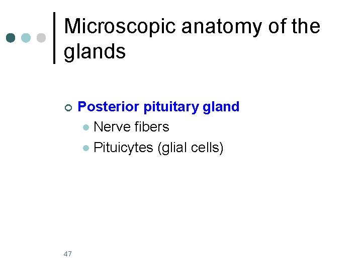 Microscopic anatomy of the glands ¢ 47 Posterior pituitary gland l Nerve fibers l