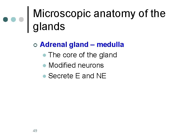 Microscopic anatomy of the glands ¢ 49 Adrenal gland – medulla l The core