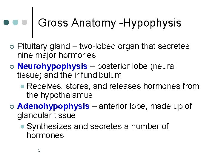 Gross Anatomy -Hypophysis ¢ ¢ ¢ Pituitary gland – two-lobed organ that secretes nine