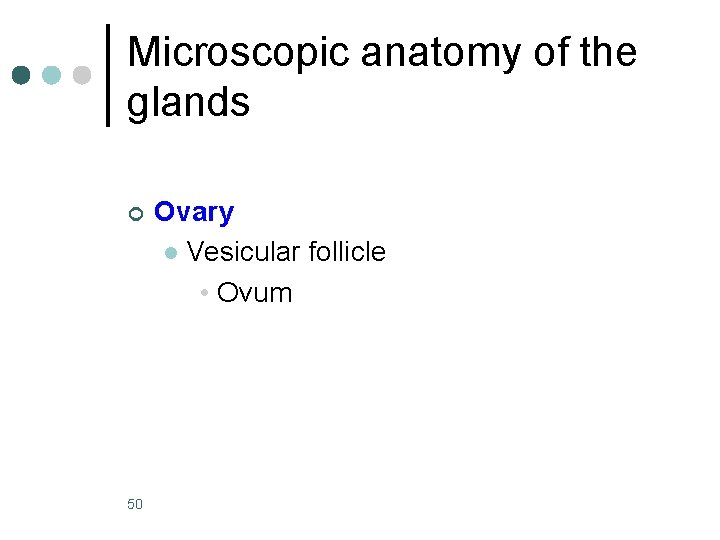 Microscopic anatomy of the glands ¢ 50 Ovary l Vesicular follicle • Ovum 