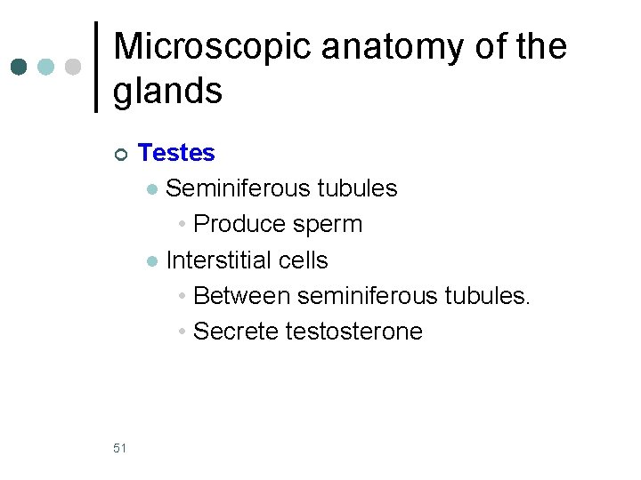 Microscopic anatomy of the glands ¢ 51 Testes l Seminiferous tubules • Produce sperm