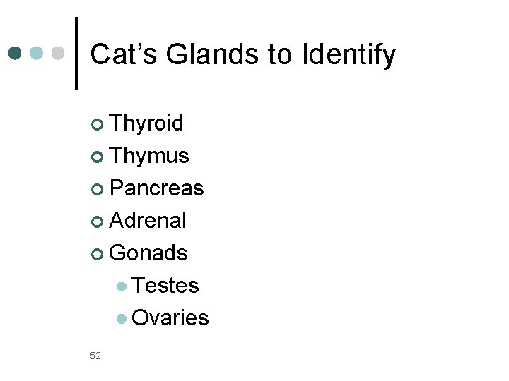 Cat’s Glands to Identify ¢ Thyroid ¢ Thymus ¢ Pancreas ¢ Adrenal ¢ Gonads