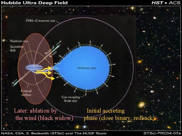 Later: ablation by the wind (black widow) Initial accreting phase (close binary, redback) 