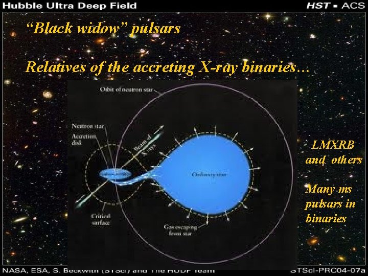 “Black widow” pulsars Relatives of the accreting X-ray binaries… LMXRB and others Many ms