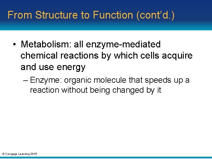 From Structure to Function (cont’d. ) • Metabolism: all enzyme-mediated chemical reactions by which