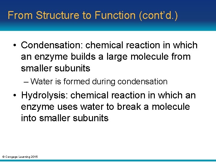 From Structure to Function (cont’d. ) • Condensation: chemical reaction in which an enzyme