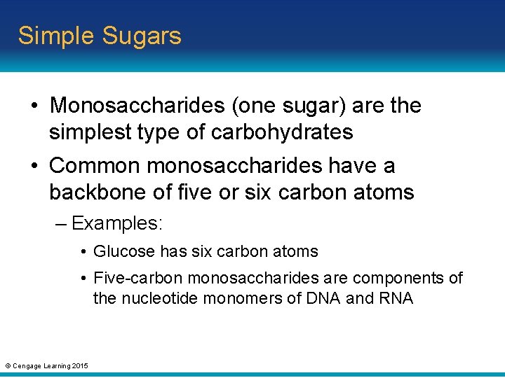 Simple Sugars • Monosaccharides (one sugar) are the simplest type of carbohydrates • Common