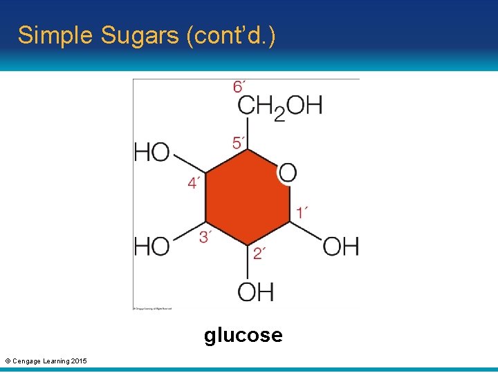 Simple Sugars (cont’d. ) glucose © Cengage Learning 2015 