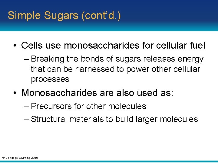 Simple Sugars (cont’d. ) • Cells use monosaccharides for cellular fuel – Breaking the