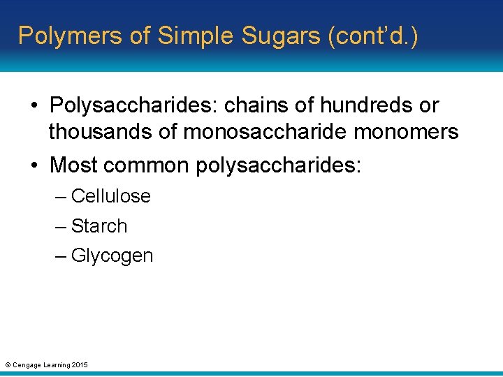 Polymers of Simple Sugars (cont’d. ) • Polysaccharides: chains of hundreds or thousands of