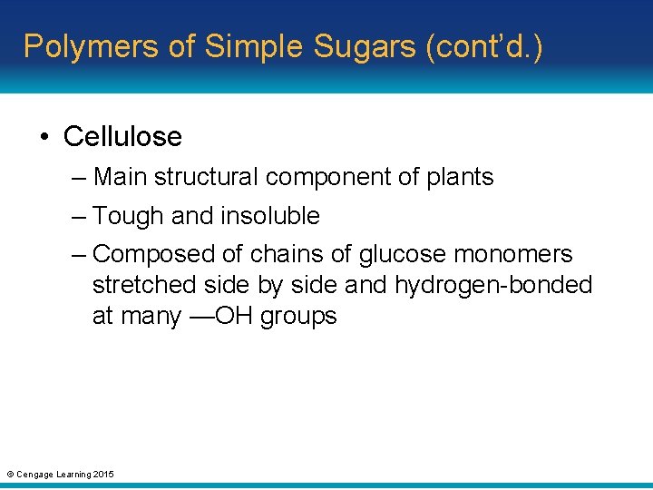 Polymers of Simple Sugars (cont’d. ) • Cellulose – Main structural component of plants