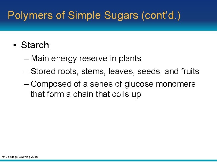 Polymers of Simple Sugars (cont’d. ) • Starch – Main energy reserve in plants