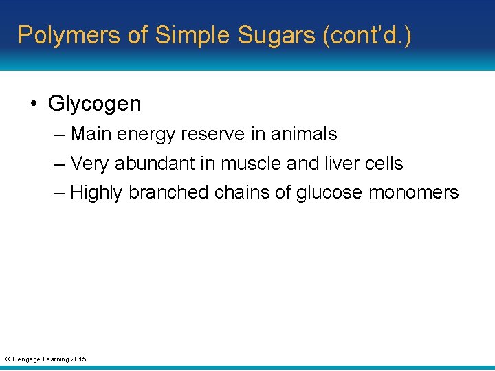 Polymers of Simple Sugars (cont’d. ) • Glycogen – Main energy reserve in animals