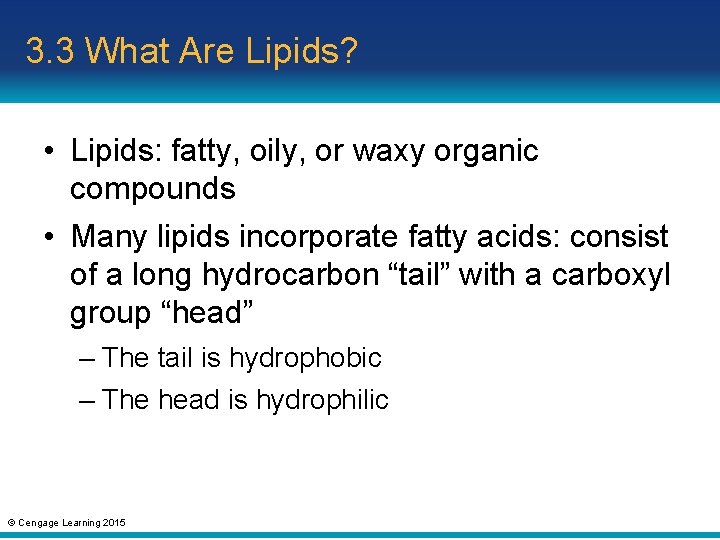 3. 3 What Are Lipids? • Lipids: fatty, oily, or waxy organic compounds •