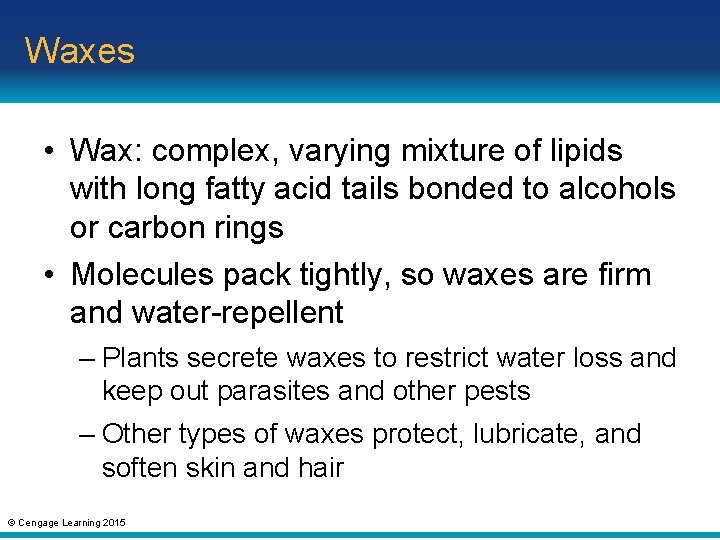 Waxes • Wax: complex, varying mixture of lipids with long fatty acid tails bonded