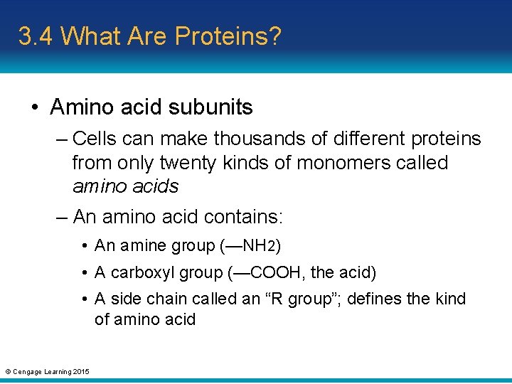 3. 4 What Are Proteins? • Amino acid subunits – Cells can make thousands