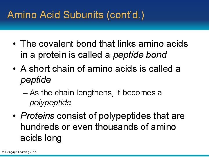 Amino Acid Subunits (cont’d. ) • The covalent bond that links amino acids in