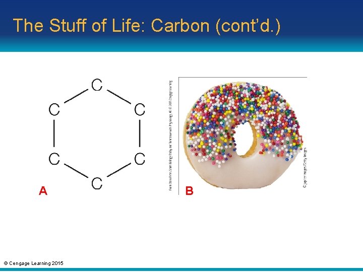 The Stuff of Life: Carbon (cont’d. ) A © Cengage Learning 2015 B 