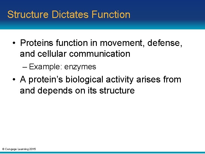 Structure Dictates Function • Proteins function in movement, defense, and cellular communication – Example: