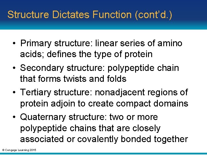 Structure Dictates Function (cont’d. ) • Primary structure: linear series of amino acids; defines