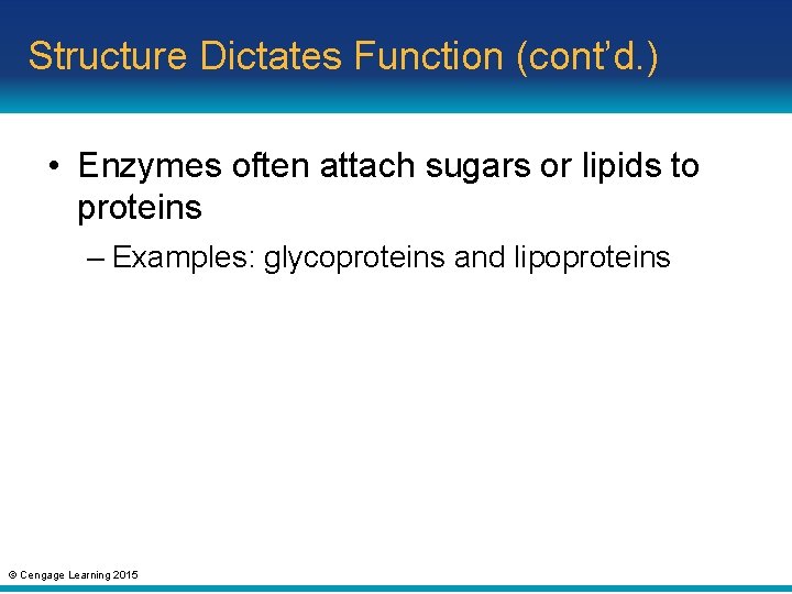 Structure Dictates Function (cont’d. ) • Enzymes often attach sugars or lipids to proteins