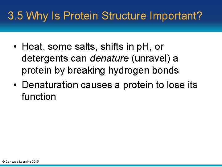 3. 5 Why Is Protein Structure Important? • Heat, some salts, shifts in p.