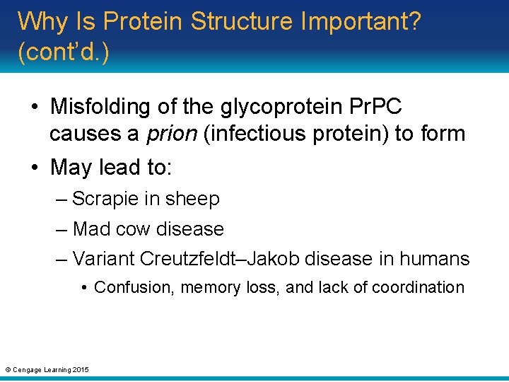 Why Is Protein Structure Important? (cont’d. ) • Misfolding of the glycoprotein Pr. PC