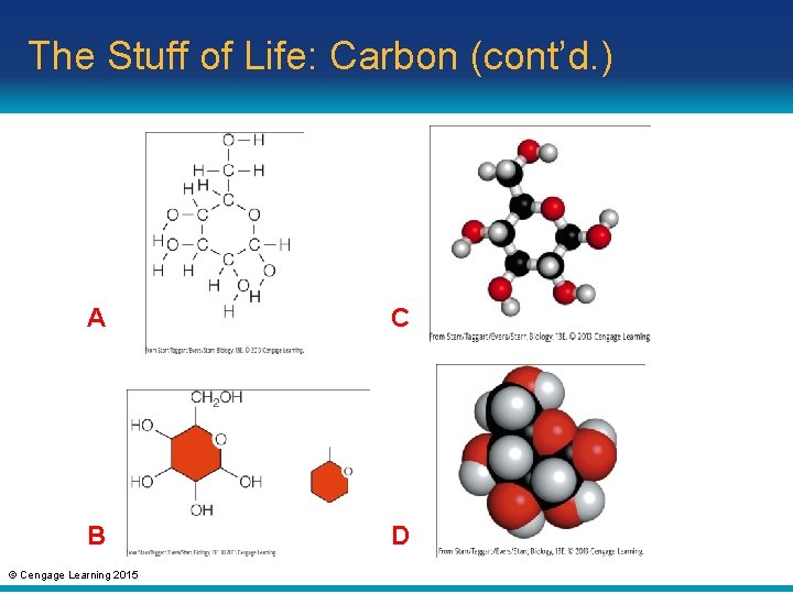 The Stuff of Life: Carbon (cont’d. ) A C B D © Cengage Learning